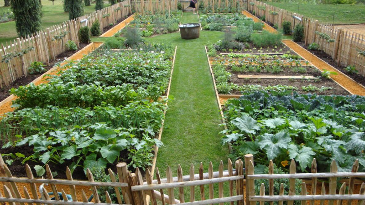 Square Foot Garden